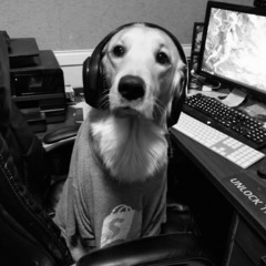 bass byte anomaly.exe