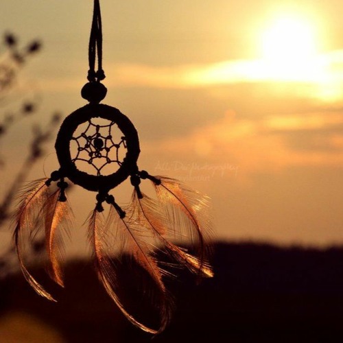 DREAM