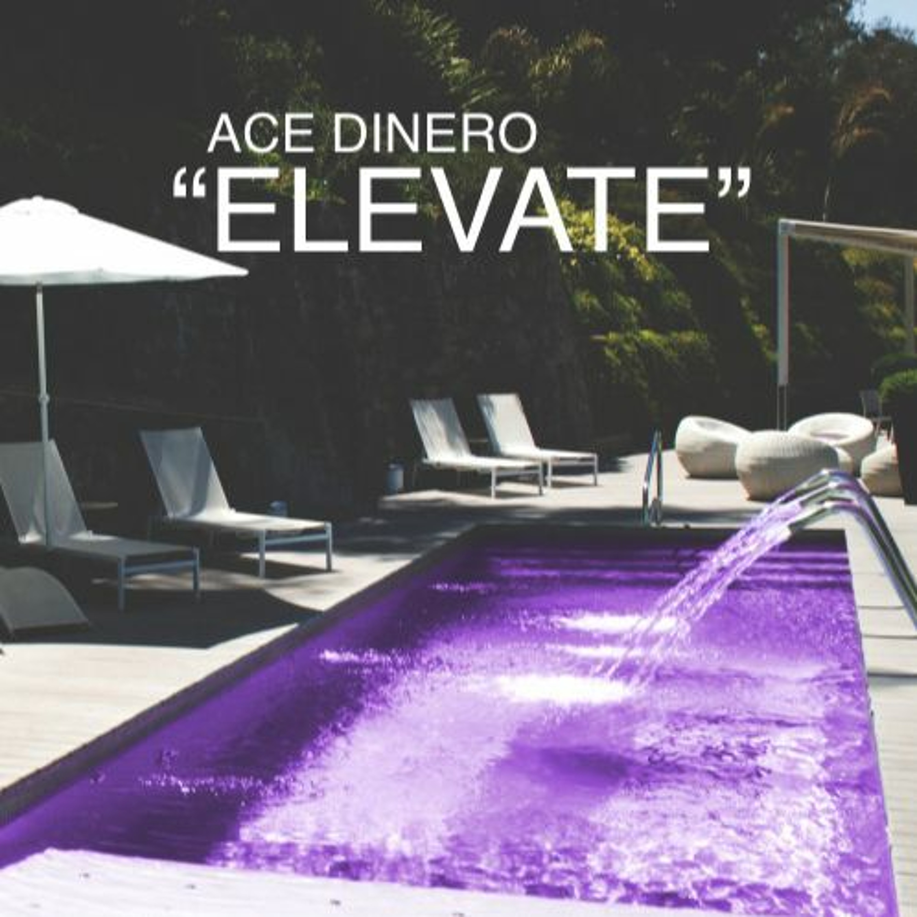 Ace Dinero