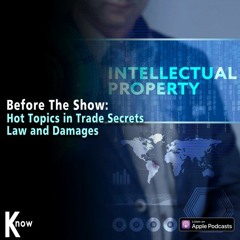 Hot Topics inTrade Secrets Law And Damages - Before The Show #287