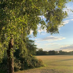 Convulsion III - Home Recording