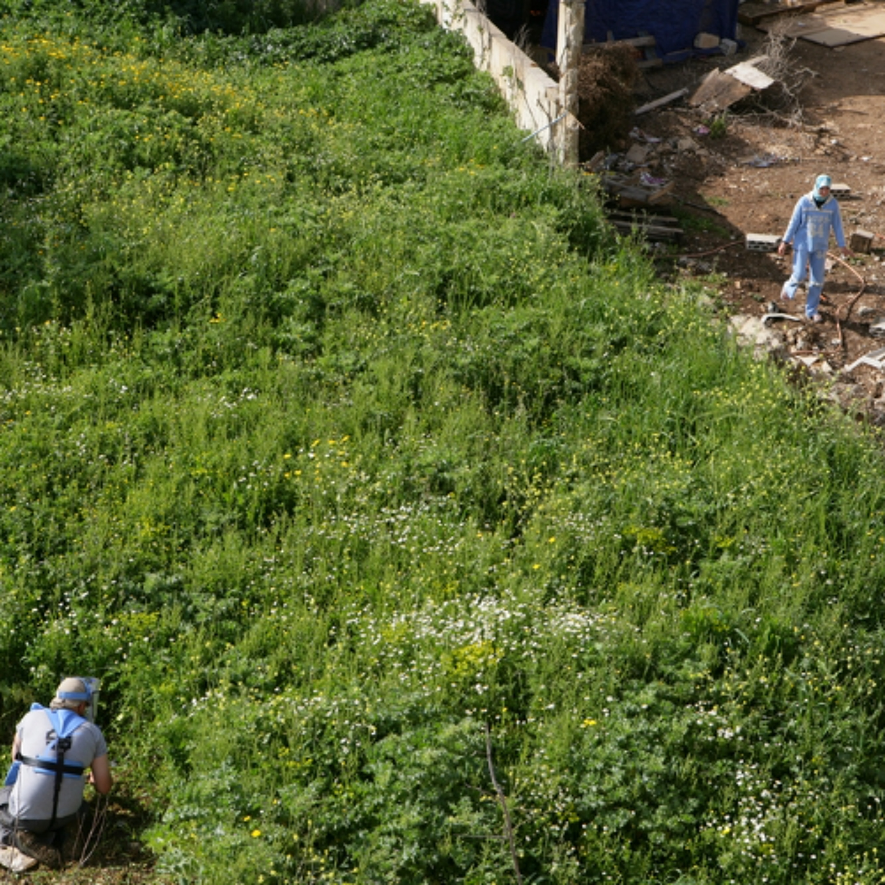 Lebanon's wartime decision to ban anti-personnel mines