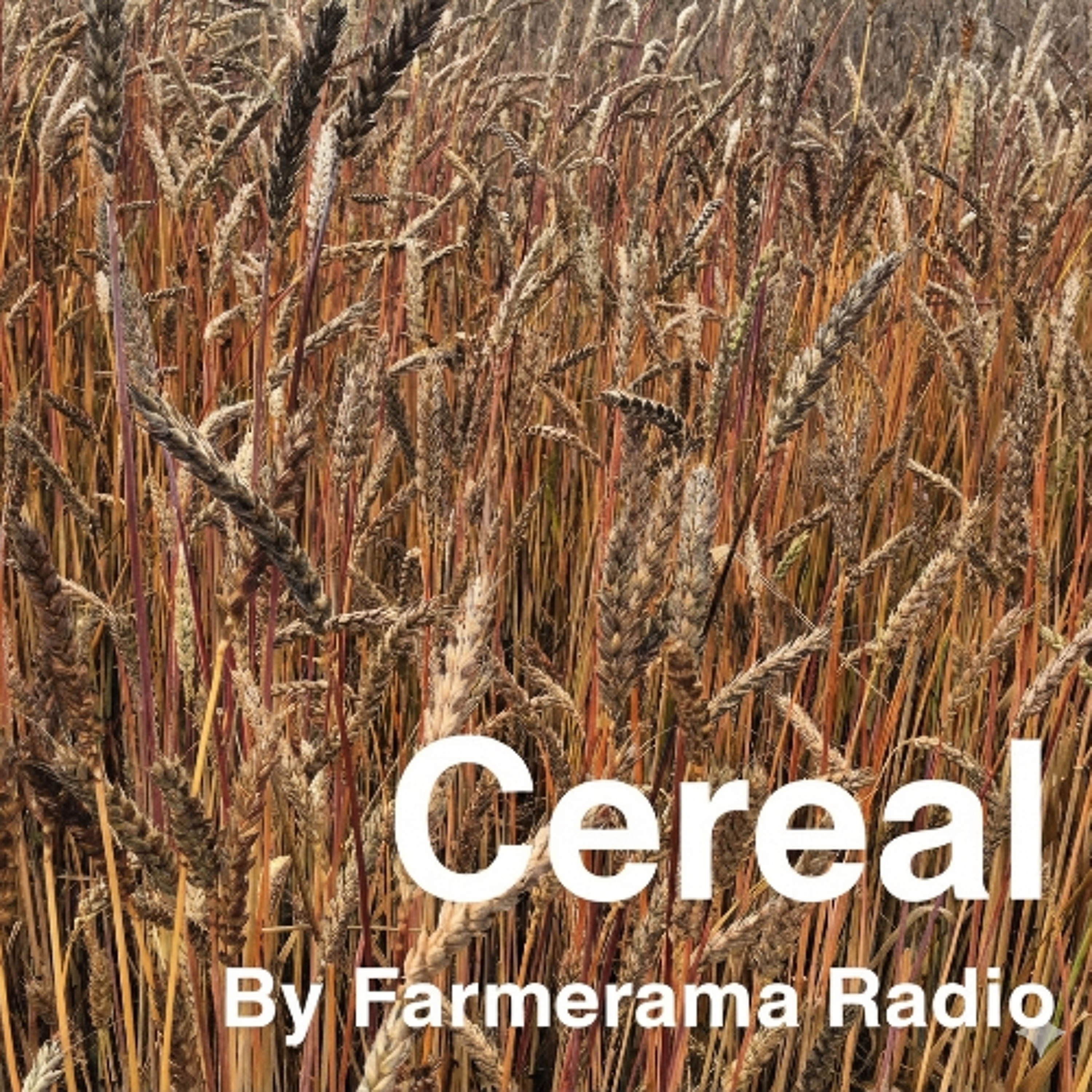 'Cereal', Episode 1: Flour, water, salt (re-release)
