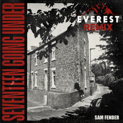 Sam Fender - Seventeen Going Under (Everest Remix)