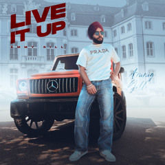Live it up -Ammy Gill mp3