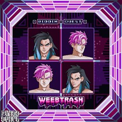 WeebTrash - Riddim Quest (Bass Space Exclusive ) Free Download