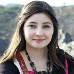 Singaar Tappy  Gul Panra.mp3