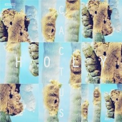 KOSTADIS - 04 Holy Cactus