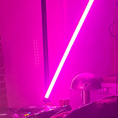 micronoce x obscura_14.02.25