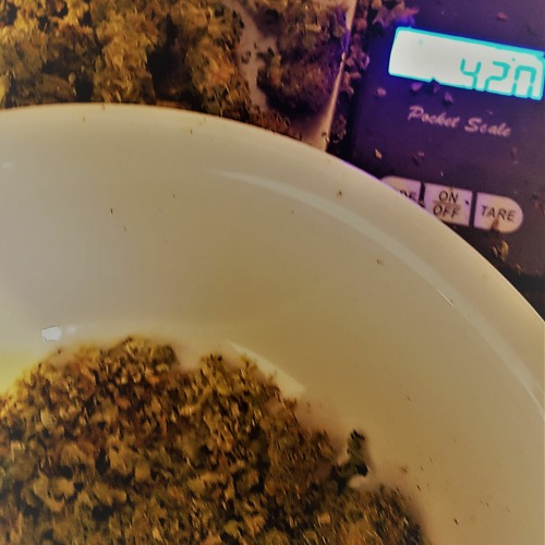 YOU KNOW I LIGHT IT UP