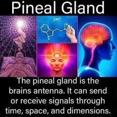 Landing 🦋👽🧬✨🪐⚡️☄️