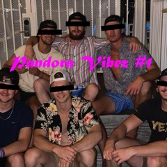 Pandora Vibez #1