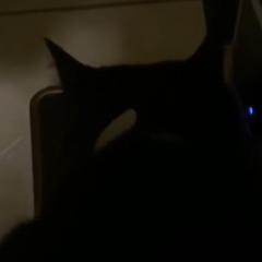 Sparta Toothless Crunching Cat Food Base