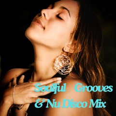 Soulful Grooves & Nu Disco