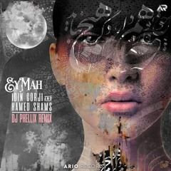 Idin Gorji & HAMED SHAMS - Ey Mah (DJ Phellix Remix) ARIO051