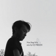 Nagashi no ooja Non Stop Mix.mix by DJ IWASHI