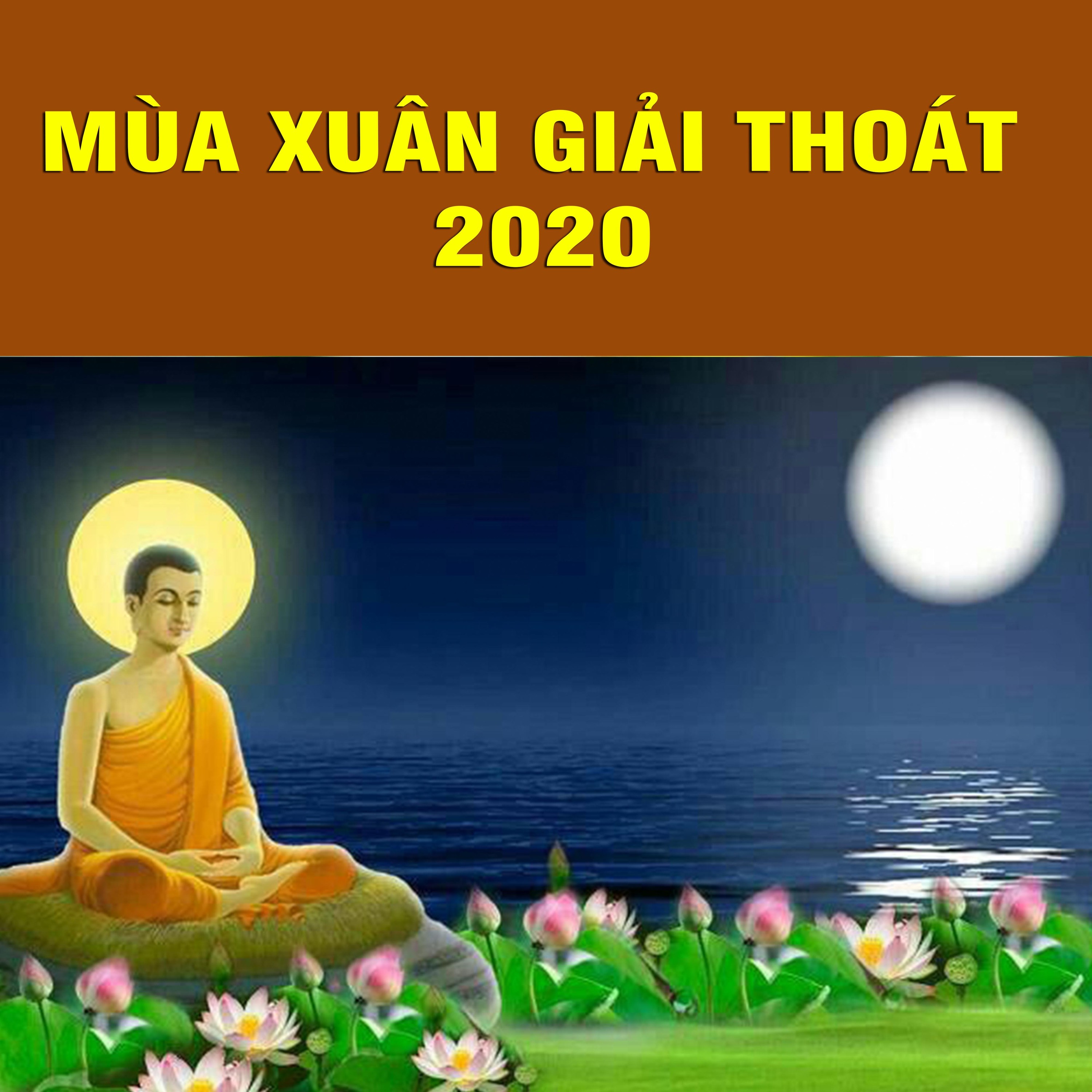 Thích Bảo Nguyên