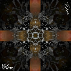 Flying Lotus - Sultan's Request (Silk Static Remix)