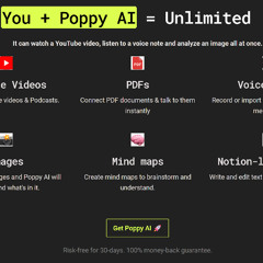 Poppy AI review :  Mon Avis Après Plusieurs Semaines de Test Intensif (L'Outil Révolutionnaire pour la Pensée Visuelle )