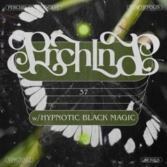 Hypnotic Black Magic - Perchéland #37