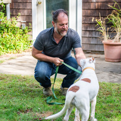 Jeremy Jones Dog Training - Feeding Our Dogs