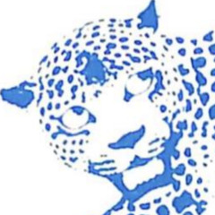 MAGIC TEENS - TIMES CARCASS