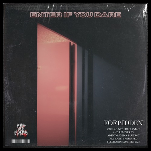 FORBIDDEN X DeGuzman - Unser Ziel (Absntmnded Remix)