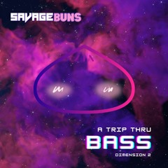 A Trip Thru Bass: DimensiØn 1