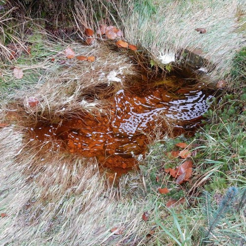 Public Order w/ Lawson Benn 100323