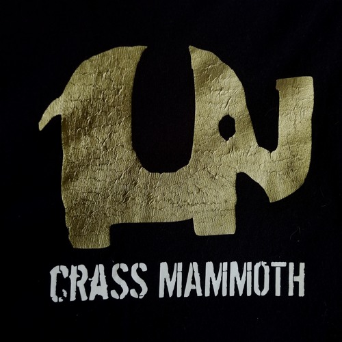 You Down (unreleased Crass Mammoth demo)