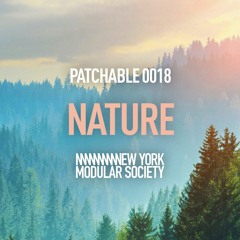 Prairie Storm PATCHABLE-0018