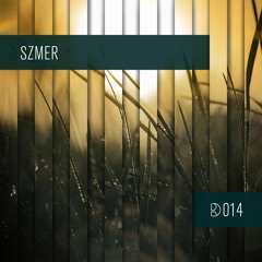 Dynamic Reflection Podcast Series 014: Szmer