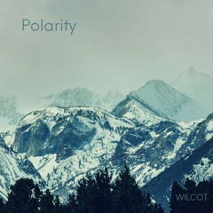 Polarity