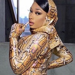 Savage (Megan The Stallion Remix)