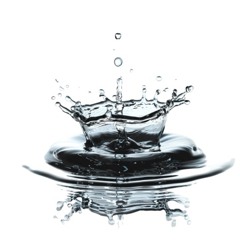 aquolina