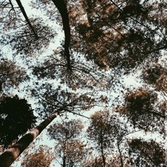Akad-Payung Teduh cvrd by me