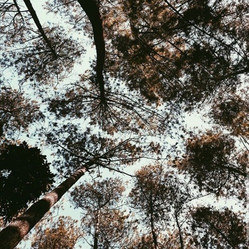 Akad-Payung Teduh cvrd by me