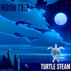 Moon Trip