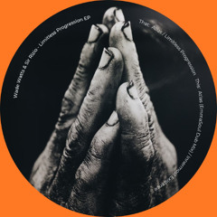 Wade Watts & Sir Rizio - Limitless Progression EP (LPY-21) clips
