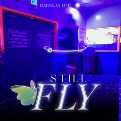 .STILL FLY.