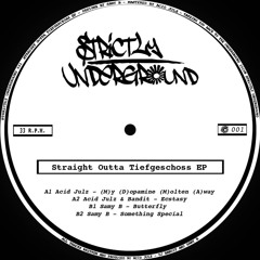 Samy B - Something Special