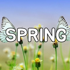 [무료비트]꽃피는 봄느낌 달콤한 어쿠스틱 팝 힙합 비트 'Spring'  I 프리스타일 비트 I 외힙비트 (Prod. Daybean)