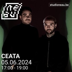 NOT HUMAN ARTISTS — Ceață