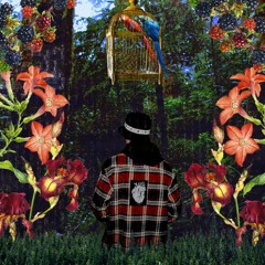 Illusion feat. Willy Wu