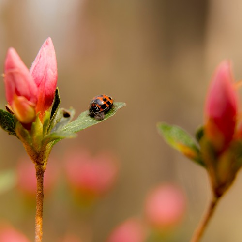 But One Point Six One Eight