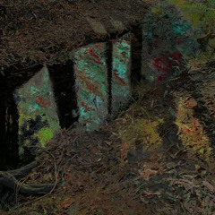 U221