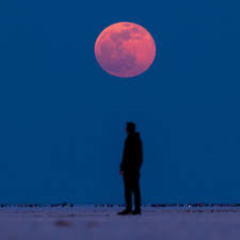 Lunar Baby