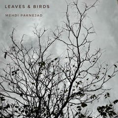 Leaves & Birds