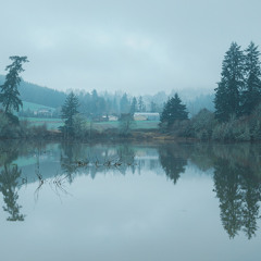 Haze