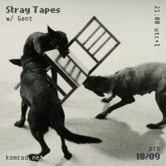 Stray Tapes 006 w/ Gent